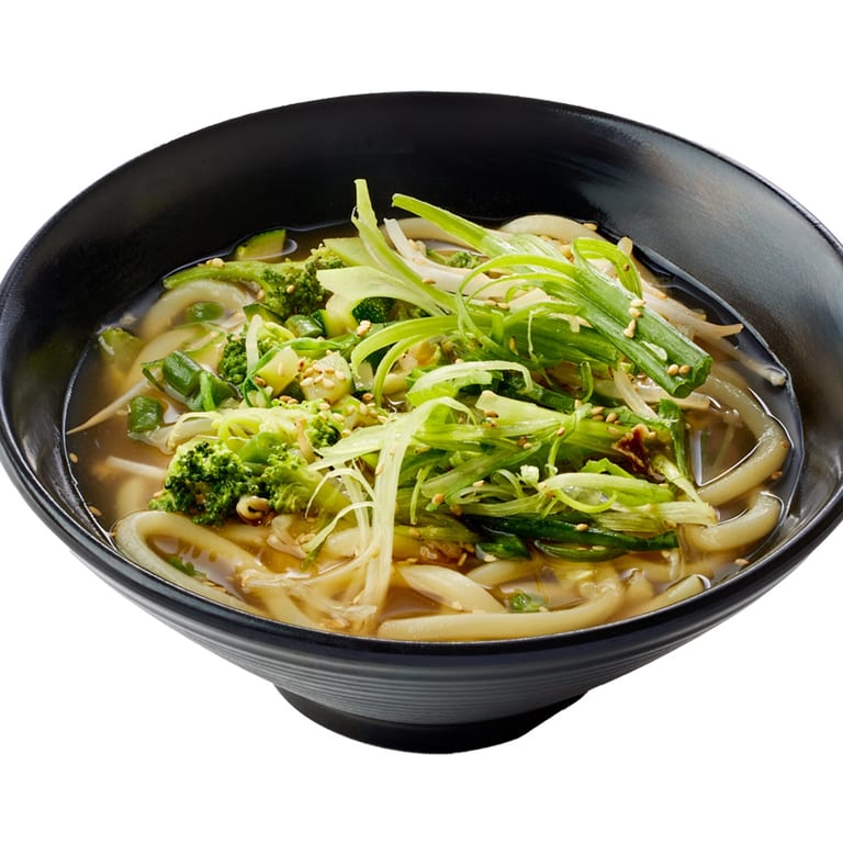 Delicious Udon Noodle Dishes